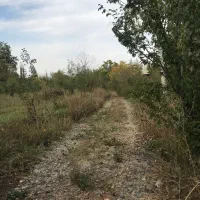 باغ فیرورق|فروش زمین و ملک کلنگی|فیرورق, |دیوار