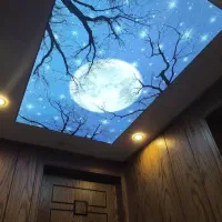 دکوراسیون داخلی ،معماری داخلی،طراحی فضاهای رطوبتی