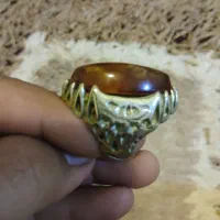 معاوضه با طوطی