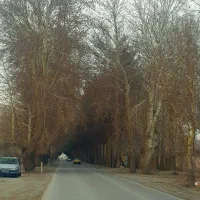 زمین ۵۰۰ متری دیوار کشی شده مهندس ساریخانی