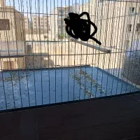 قفس پرنده