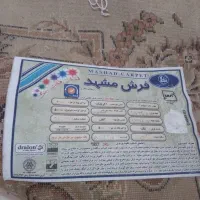 دو تخته فرش ۹ متری مشهد|فرش|ساری, |دیوار