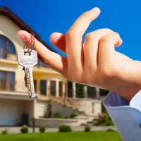 چهارواحده سنتی به صورت یکجا/زیتون