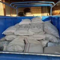 بز گندم آبی و دیم|خدمات باغبانی و درختکاری|دینور, |دیوار