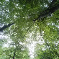 کارگاه خودشناسی (رایگان)