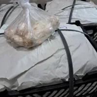 قارچ گلخونه ای|خوردنی و آشامیدنی|قم, کلهری|دیوار