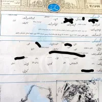 ضمانت دادگاه