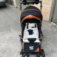 کالسکه دلیجان