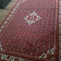 فرش ازندریان|فرش|همدان, |دیوار