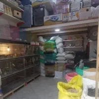 نمایندگی فروش دستگاه جوجه کشی|لوازم جانبی حیوانات|نوشهر, |دیوار