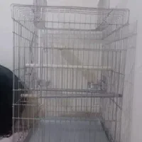قفس پرنده|لوازم جانبی حیوانات|تهران, گلاب دره|دیوار