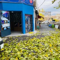 اتوبار و باربری  .1717.