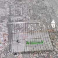 قفس پرنده|لوازم جانبی حیوانات|کرج, خرمدشت|دیوار