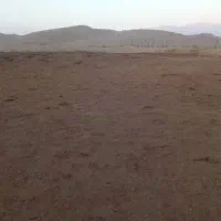 کود شتر|خدمات باغبانی و درختکاری|حاجی آباد, |دیوار