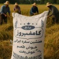 برنج کامفیروزی|خوردنی و آشامیدنی|صدرا-فارس, فاز ۱|دیوار