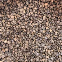 پخش عمده ی قهوه، بالاترین کیفیت، قیمت رقابتی