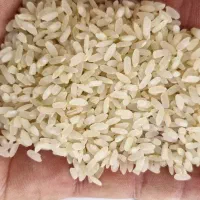 برنج‌کامفیروزی