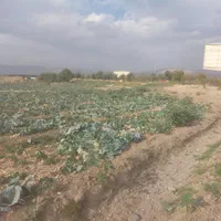 یک هکتار زمین بر اتوبان کرج قزوین|فروش زمین و ملک کلنگی|کرج, حصارک بالا|دیوار