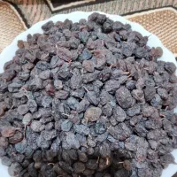 کشمش آذربایجان ملکان|خوردنی و آشامیدنی|ری, دولتآباد|دیوار