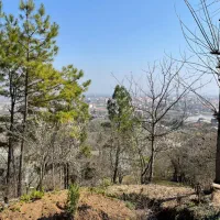 زمین مسکونی بام سبز ماسال