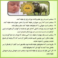 ذبح گوسفند (قصاب درمحل)