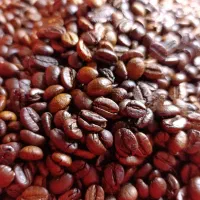 دان و پودر قهوه