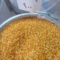 فروشگاه خشکبار و حبوبات و برنج و شکلات|خوردنی و آشامیدنی|زنجان, |دیوار