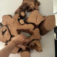 جلو مبلی ریشه تمیز شده توسکا