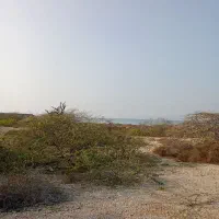 خدمات و نظافت