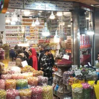 نیروی کار ساده و حرفه ای