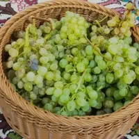 سبد میوه سبد رخت سبد پیک نیک  و انواع نظم دهنده|صنایع دستی و سایر لوازم تزئینی|زنجان, |دیوار