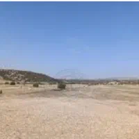زمین-فروشی