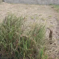 خانه-60-متری-دوبلکس-90-متر-بنا