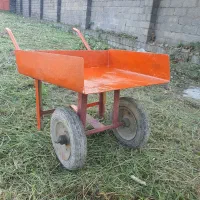 فرغون سنگ زنی|ابزارآلات|رشت, کاکتوس|دیوار