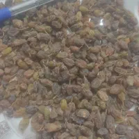 کشمش سبز و افتابی|خوردنی و آشامیدنی|قره چای, |دیوار