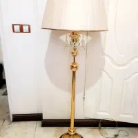 آباژور کنارسالنی