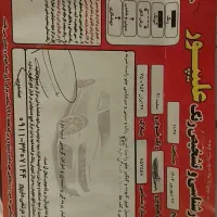 پژوپارس مدل 91