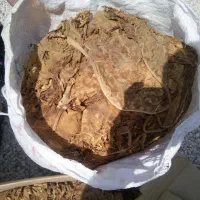 برگ خوشرنگ