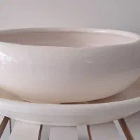 گلدان سرامیکی|گل و گیاه طبیعی|بیرجند, |دیوار