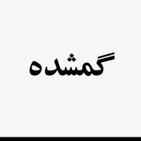 سویچ موتور گم شده