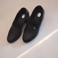 کفش مجلسی