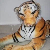 ببر پولیشی بزرگ|اسباببازی|تهران, نیروی هوایی (پیروزی)|دیوار