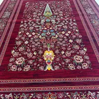 سرو لاکی .نقد واقساط/تعویض فرش نو وکهنه ۷۰۰شانه|فرش|صدرا-فارس, فاز ۱|دیوار