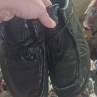 تعداد زیادی کتونی کار کرده|کیف، کفش، کمربند|تنکابن, |دیوار