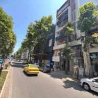 مغاز ۲۹ متری سرقفل و مالکیت گلسار بر اصلی گلایل|فروش مغازه و غرفه|رشت, کاکتوس|دیوار