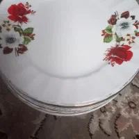 میوه خوری گل قرمز