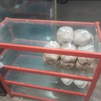 بوفه قفسه صندلی میز|فروشگاه و مغازه|شیراز, تندگویان|دیوار