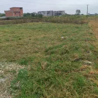 پلاک زمین شهری با لوکیشن عالی شهرکی|فروش زمین و ملک کلنگی|امامزاده عبدالله, |دیوار