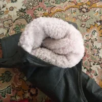 دستکش ثابت موتور سالم و گرم|لباس|رودهن, |دیوار