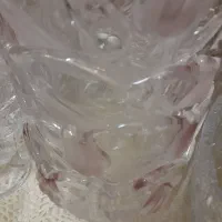 ۱۲ پیاله اجیل خوری  لاله  والتر المان